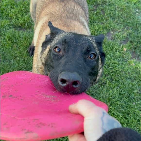 Meet your Posher, Reeva - Picture 7 of 7